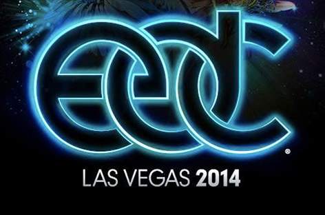 Two die after attending Electric Daisy Carnival image