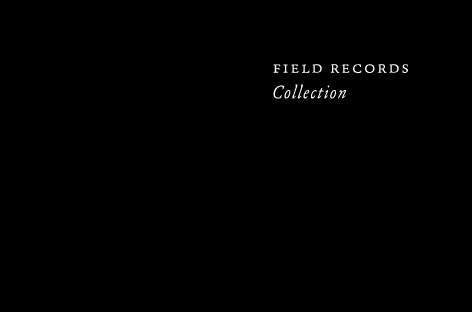 Field Recordsが『Collection』を発表 image