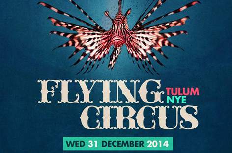 Flying Circus announces NYE plans image