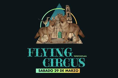 Flying Circus returns to Tepotzotlán image