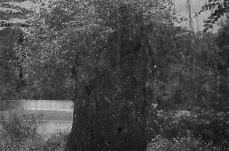 Grouper presents new LP, Ruins · News ⟋ RA