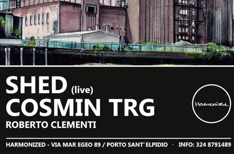Shed and Cosmin TRG play Harmonized image