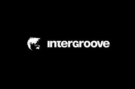 Intergroove files for bankruptcy image