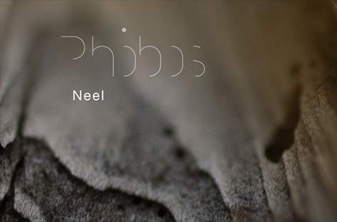 Neel readies debut album image