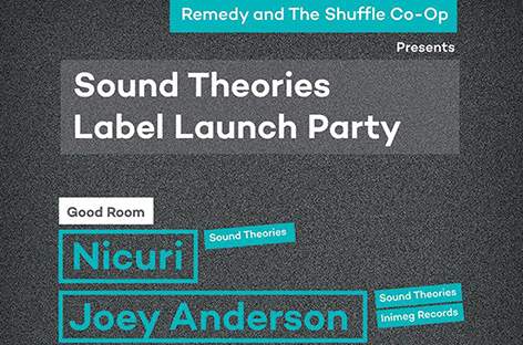 Nicuri launches new label, Sound Theories image