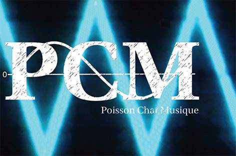 Poisson Chat Musique returns image