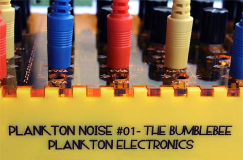 Plankton Electronics launches Noise series with The Bumblebee image