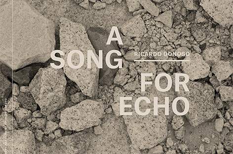 Ricardo Donoso writes A Song For Echo image