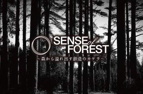 Sense of Forestが2014年のラインナップを発表 image