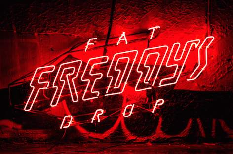 Fat Freddy's Drop return with BAYS image