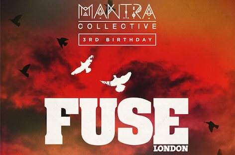 Sydney's Mantra Collective turns three with Fuse London image