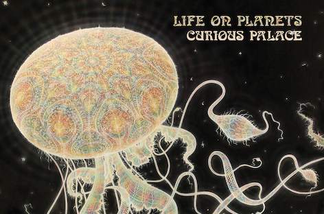 Life On Planets visit a Curious Palace on first album image