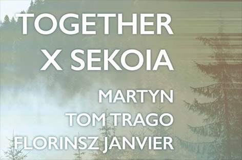 Together teams up with Sekoia for Dutch music showcase image