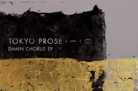Tokyo Prose returns with new EP, Dawn Chorus image