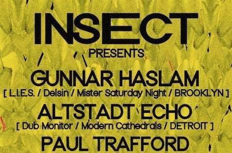 Gunnar Haslam to spin at Insect in NYC image