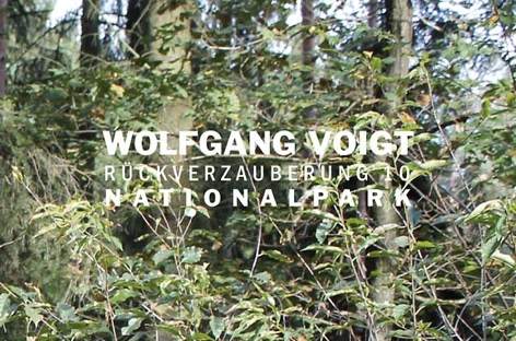 Wolfgang Voigt readies tenth Rückverzauberung album image