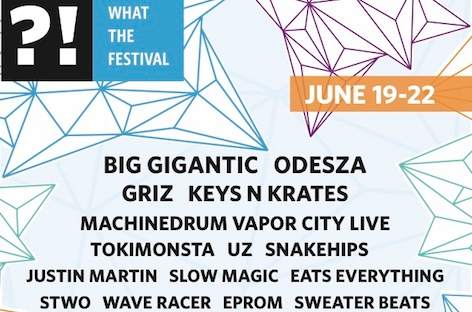 What The Festival makes initial lineup announcement image