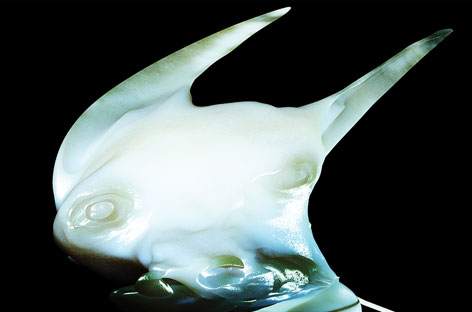 Arca releases deluxe edition of Xen image
