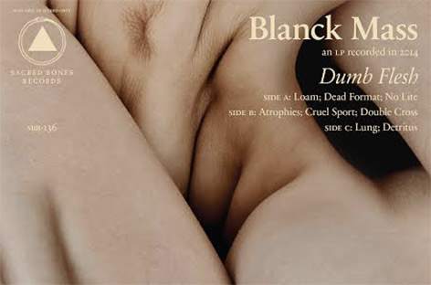Blanck Mass readies new LP for Sacred Bones image
