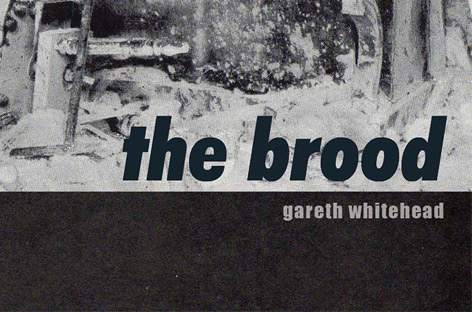 Gareth Whitehead readies debut album, The Brood image