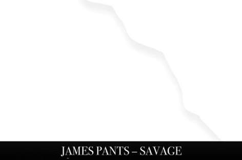 James Pants gets Savage on his new LP image
