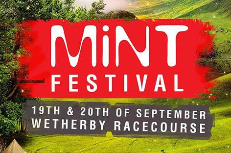Mint Festival expands to two days for 2015 image