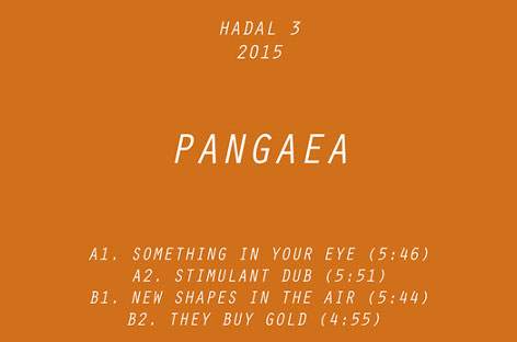 Pangaea drops new record on Hadal image