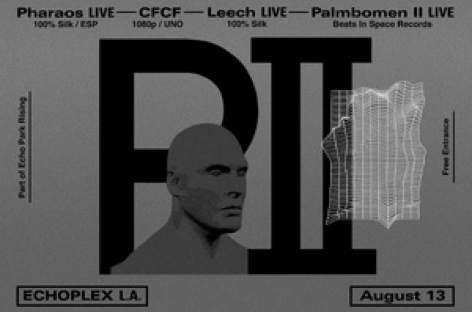 Palmbomen II and CFCF share the stage in LA image