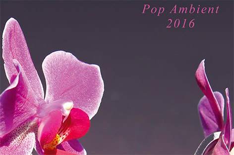 Kompakt outlines Pop Ambient 2016 image