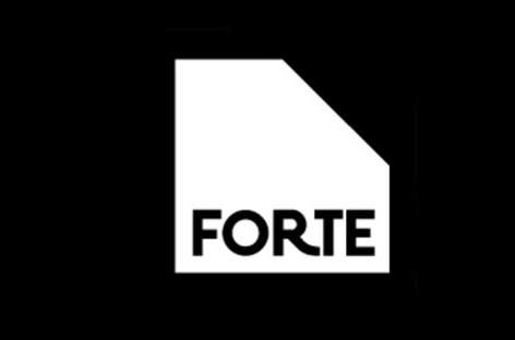 Marcel Fengler and Regis complete Forte Festival 2015 bill image