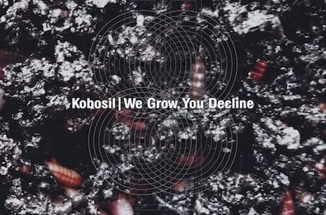 Kobosil to release debut album via Ostgut Ton image