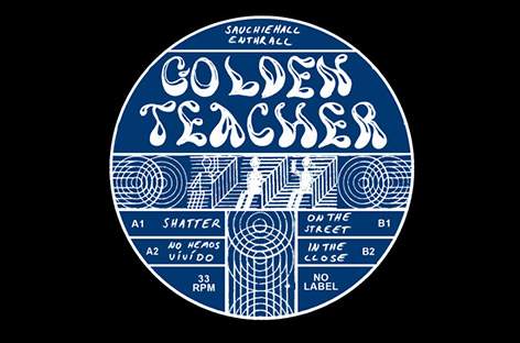 Golden Teacher self-release new 12-inch image
