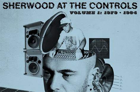 Adrian Sherwood is At The Controls image