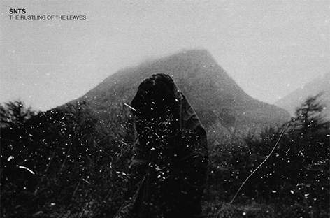 SNTS announces The Rustling Of The Leaves LP image