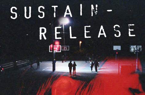Sustain-Release books Kassem Mosse, The Black Madonna for second edition image
