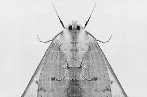 Synth Sense ready new LP for Auxiliary · News RA