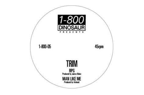 James Blake co-produces new Trim 10-inch on 1800-Dinosaur image