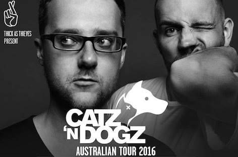 Catz 'N Dogz tour Australia in February image
