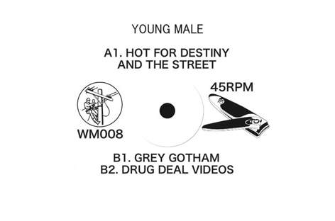 White Material announces EP from Young Male image