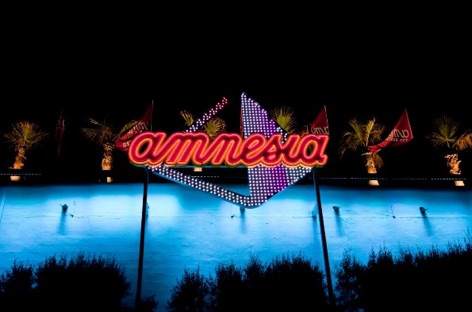 Amnesia Ibiza raided by police image