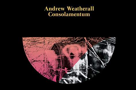 Andrew Weatherall remixed by Red Axes, Solar Bears on new album image