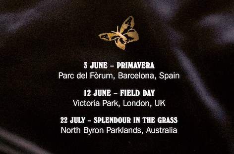 The Avalanches announce first live shows in 15 years image