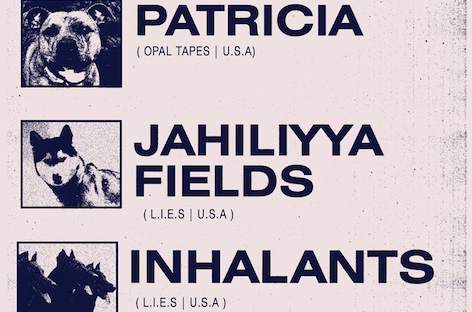 Patricia and Jahiliyya Fields tour Australia image