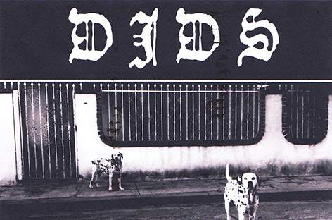 DJDS release live album image