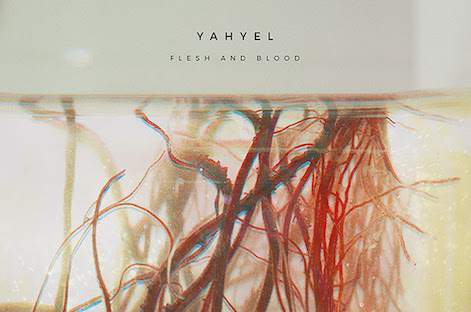 yahyelがデビューアルバム『Flesh and Blood』を発表 image