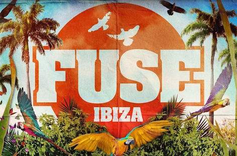 Fuse plans Benimussa Park takeover in Ibiza image