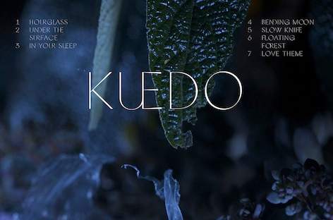 Planet Mu announces Kuedo album, Slow Knife image