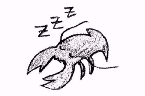 Lobster Theremin starts ambient sub-label, Lobster Sleep Sequence image