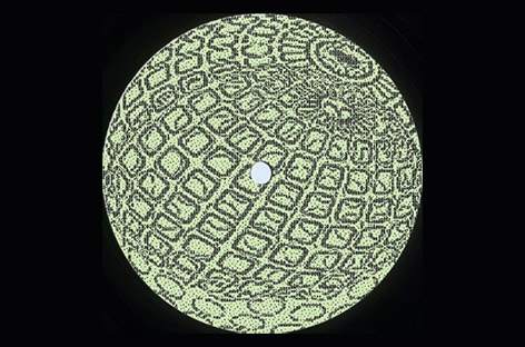 Mood Hut lines up a 12-inch from Lnrdcroy image