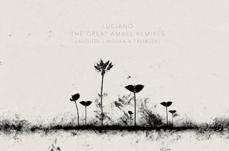 Seth Troxler and Audion remix Luciano's The Great Amael image